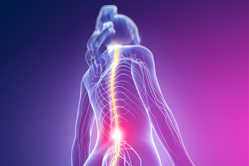 Fisiospecialist – Fisioxin